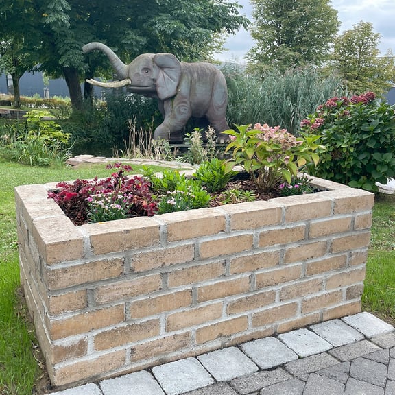 Backstein_Ginster_Hochbeet-Elefant-3