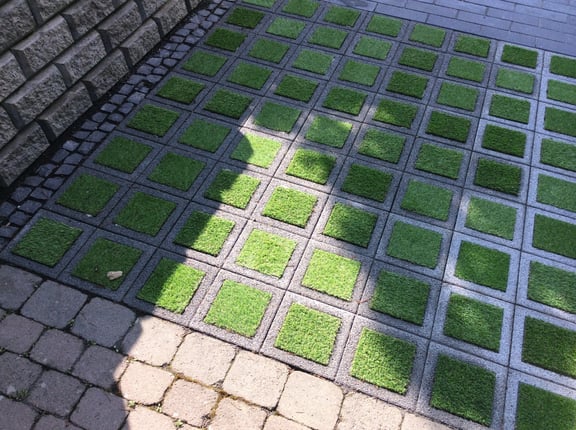 Justgreen_IMG_0005